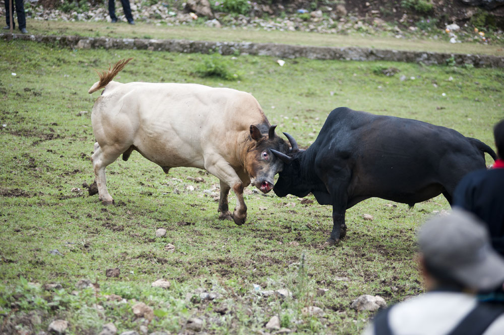 DSC_4620.jpg