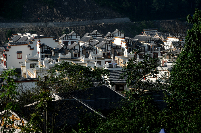 DSC_1115.jpg