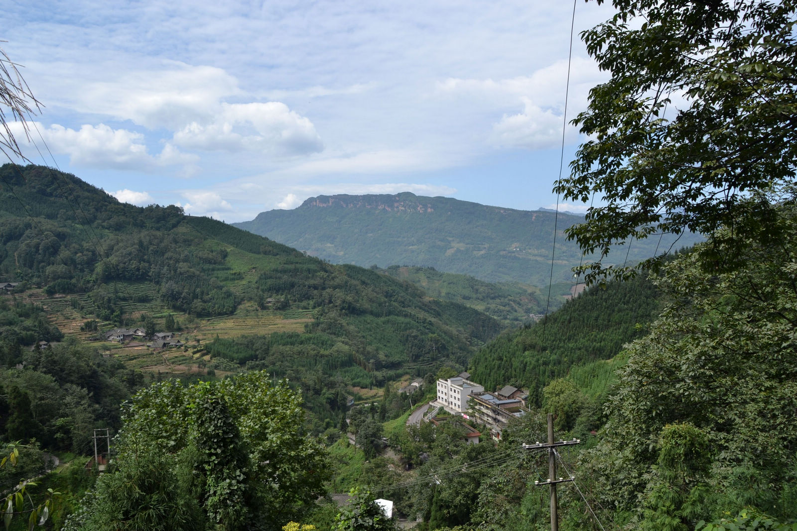 DSC_0049.JPG