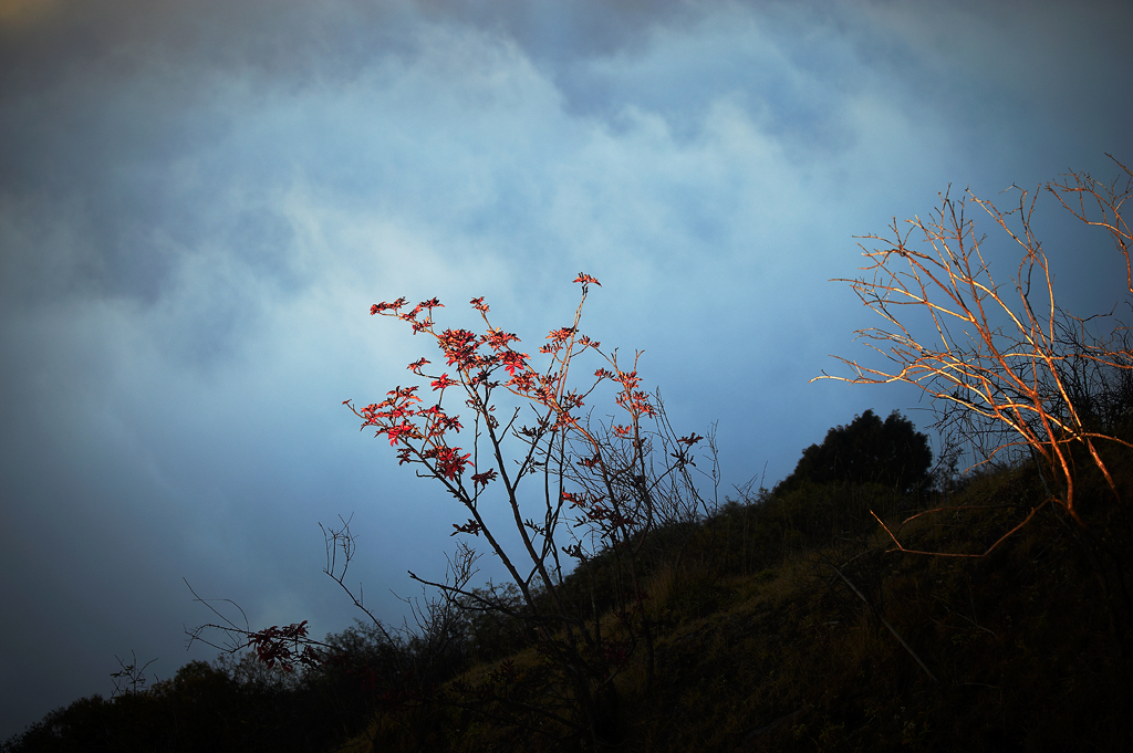 DSC_3831.jpg