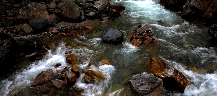 DSC_2153.jpg