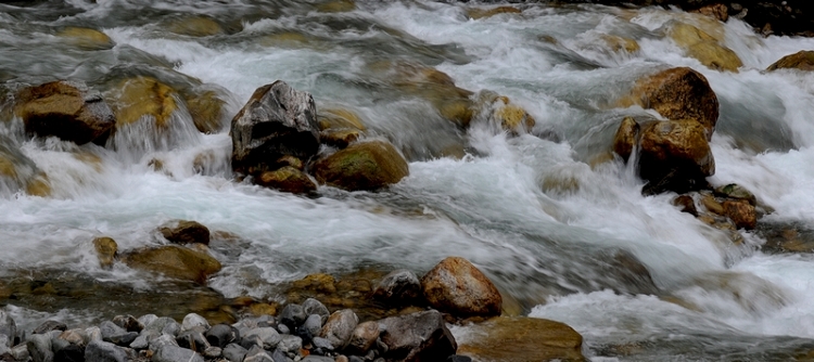 DSC_2155.jpg