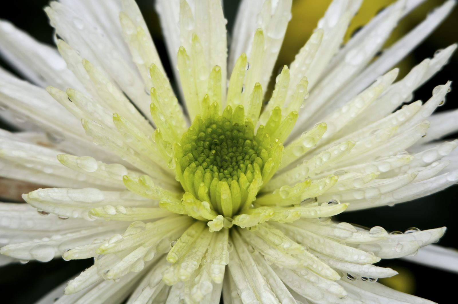 nEO_IMG_DSC_7879.jpg