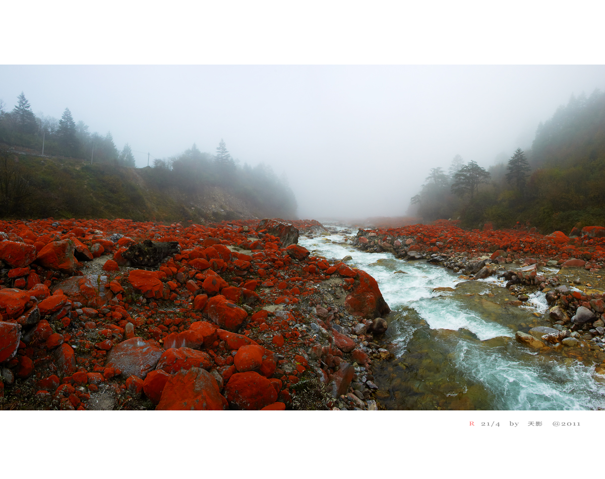 未标题-1.jpg
