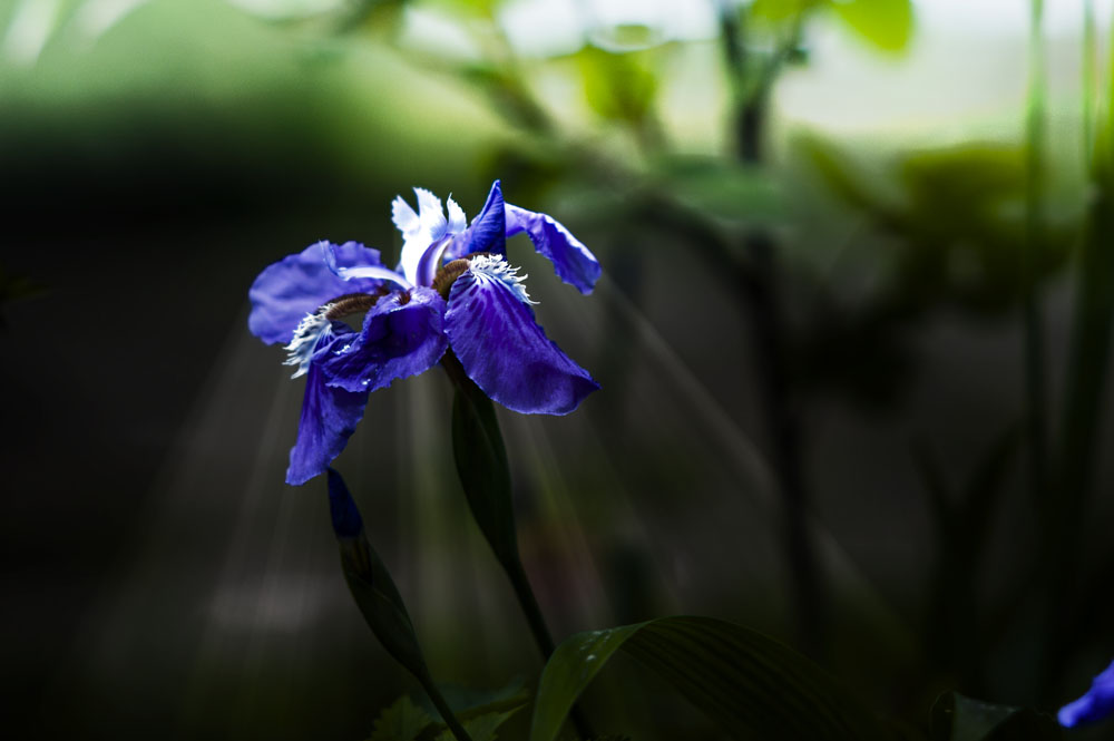 DSC_4077.jpg