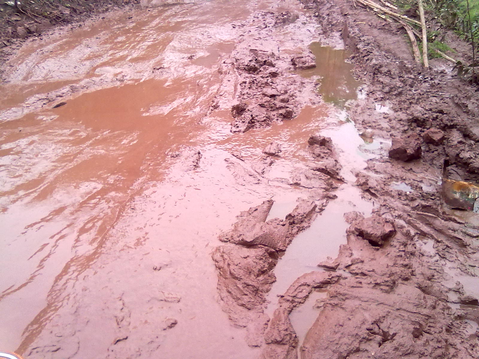 20120212095.jpg