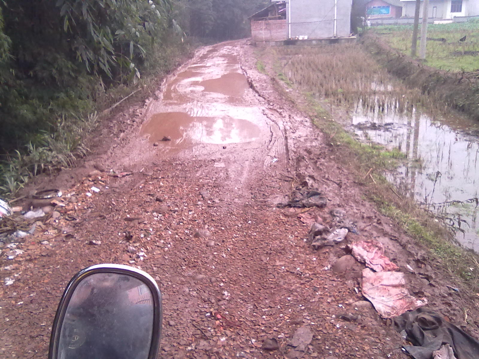 20120212101.jpg