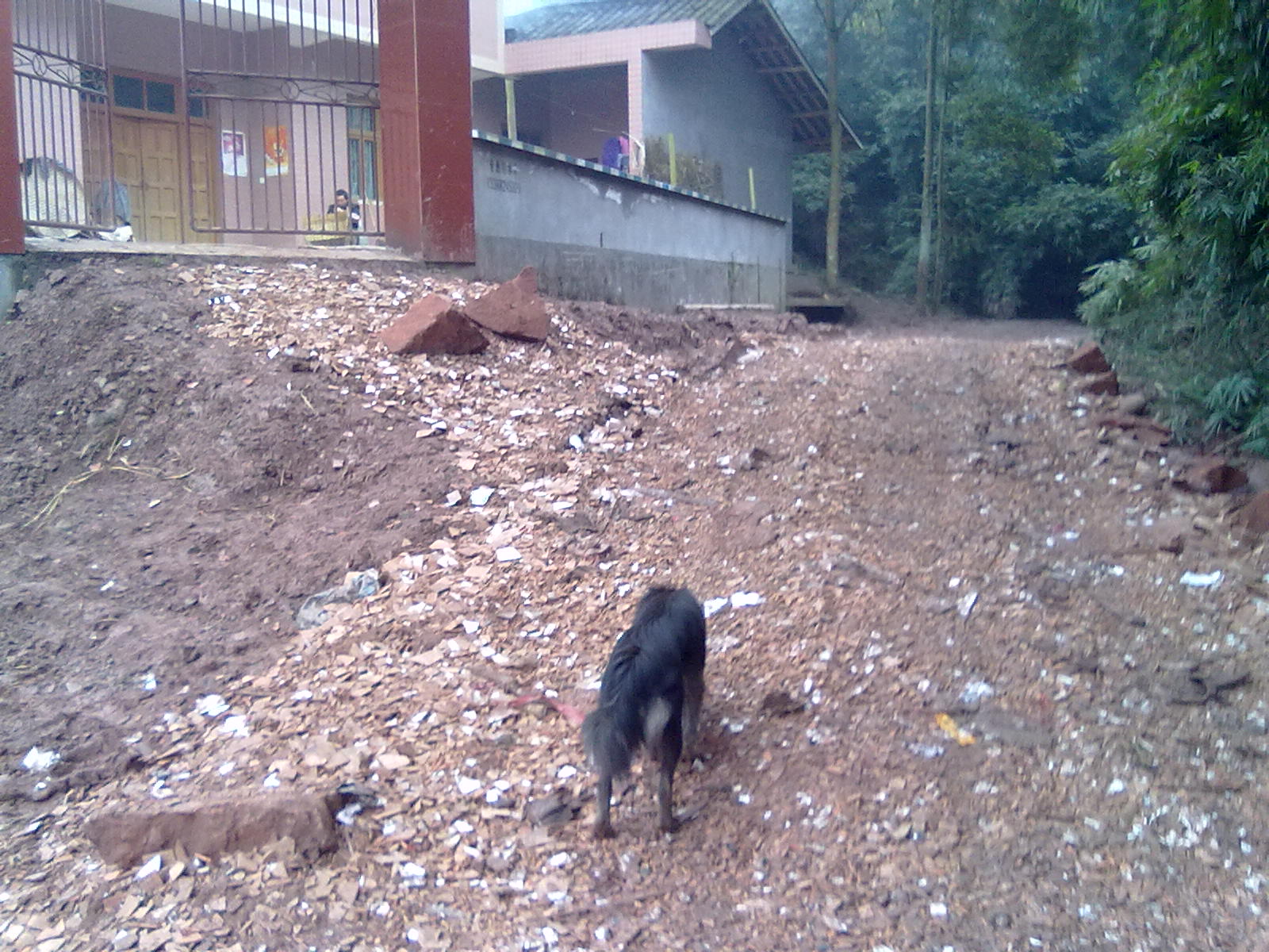 20120212102.jpg