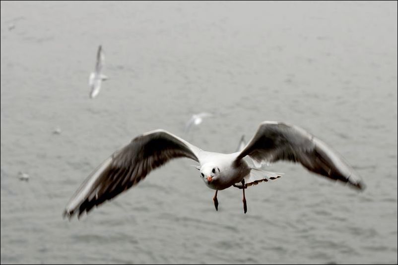 DSC_3660.jpg