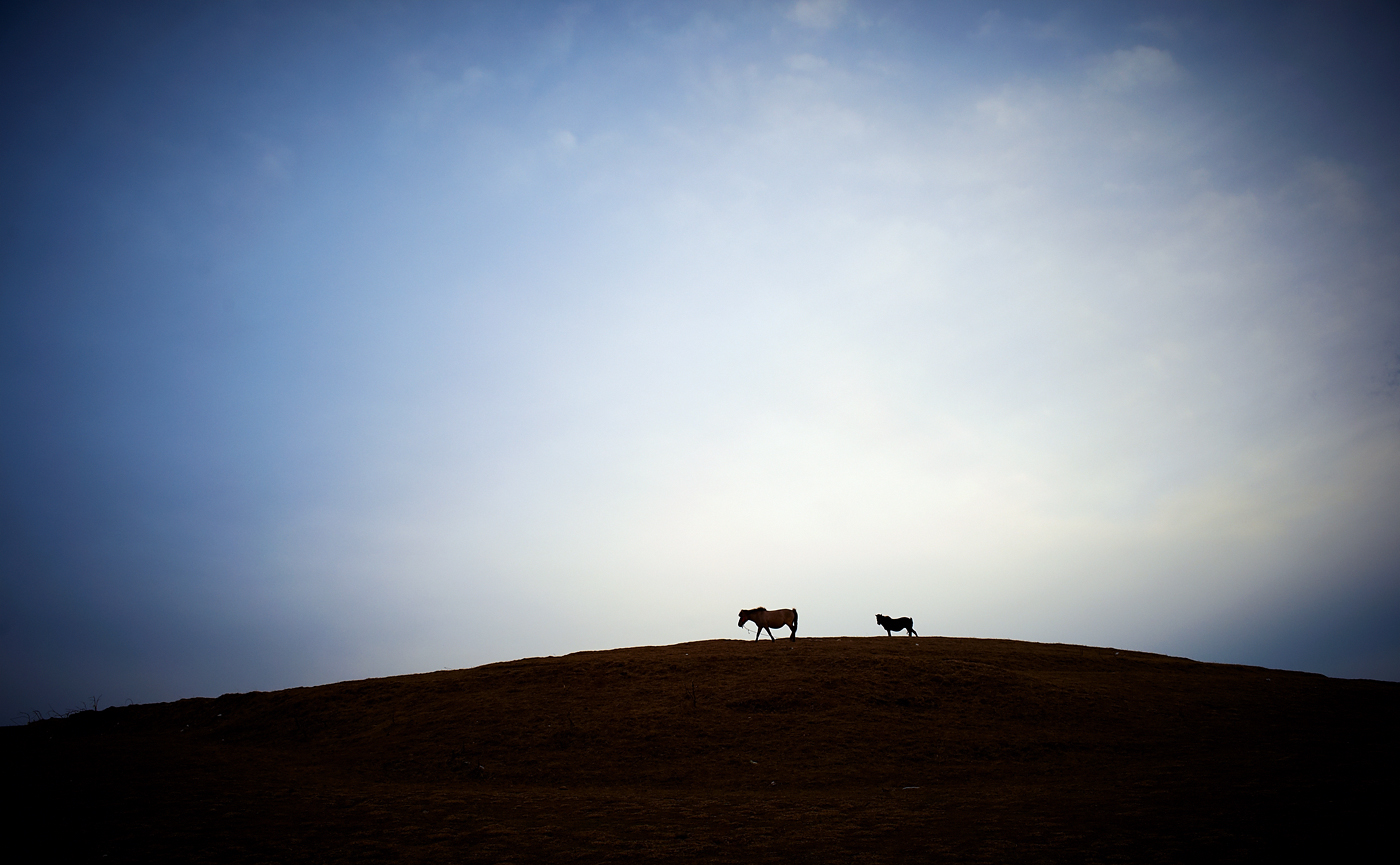 DSC_7349_11.jpg