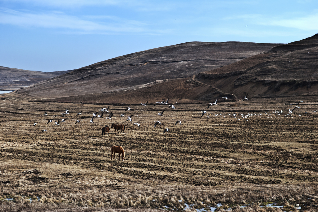 DSC_2631.jpg