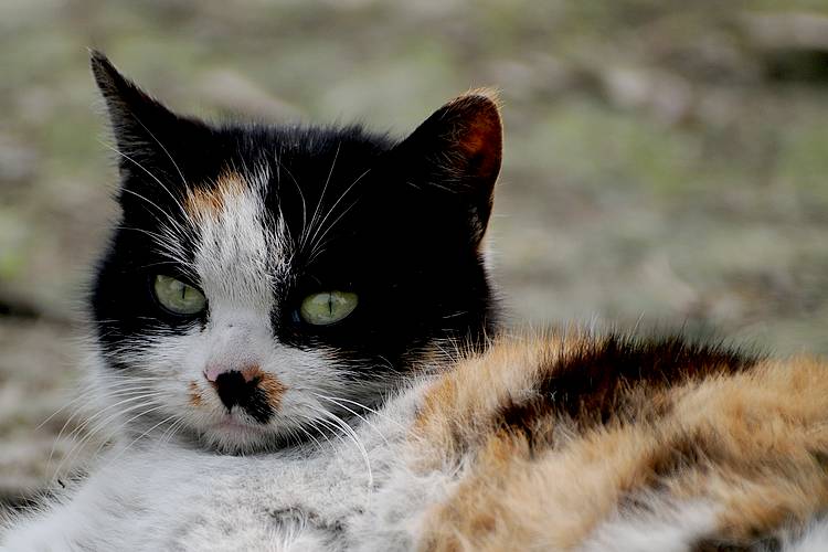 DSC_5400.jpg