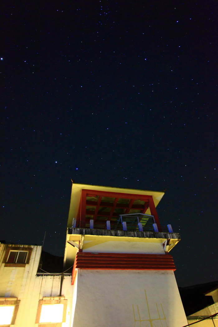 楼星.jpg