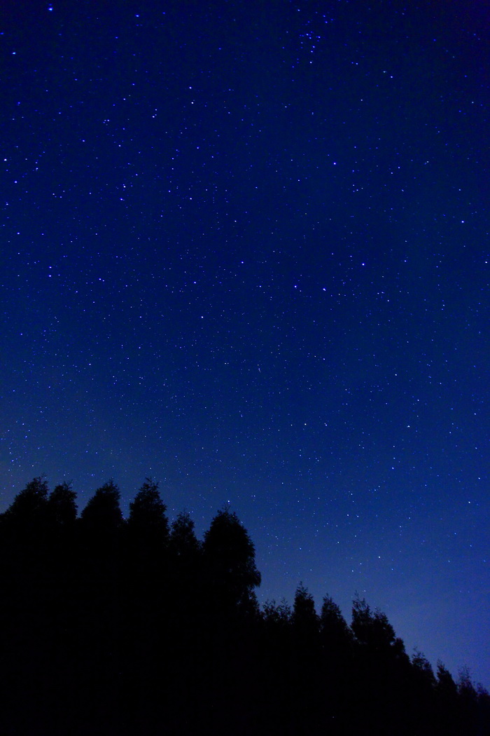 星星越来越密集了.jpg