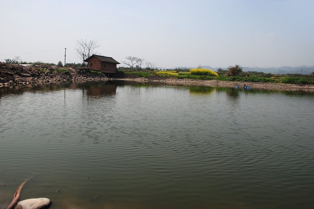 DSC_7104.jpg