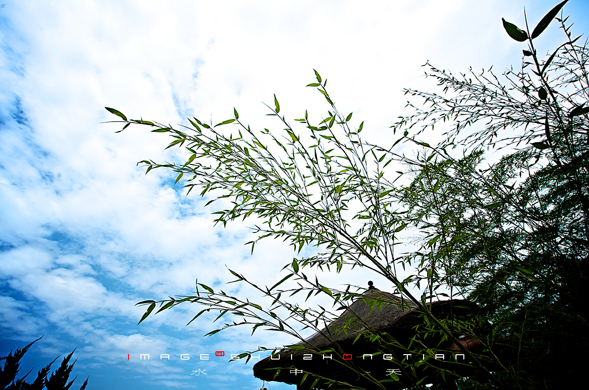 DSC_4510副本.jpg
