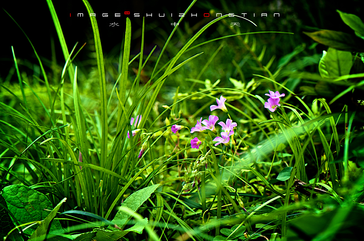 DSC_4579副本.jpg