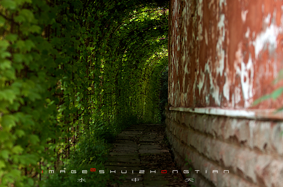 DSC_4784副本.jpg