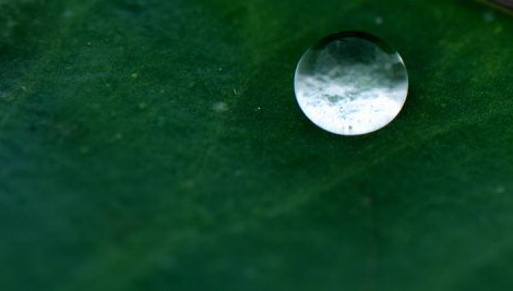 水中月.jpg