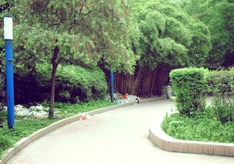DSC_9675.JPG