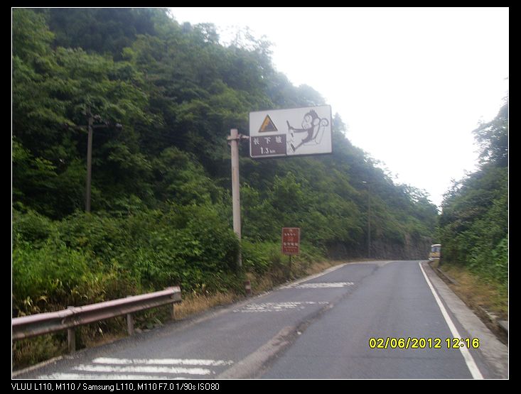 SDC10007.jpg