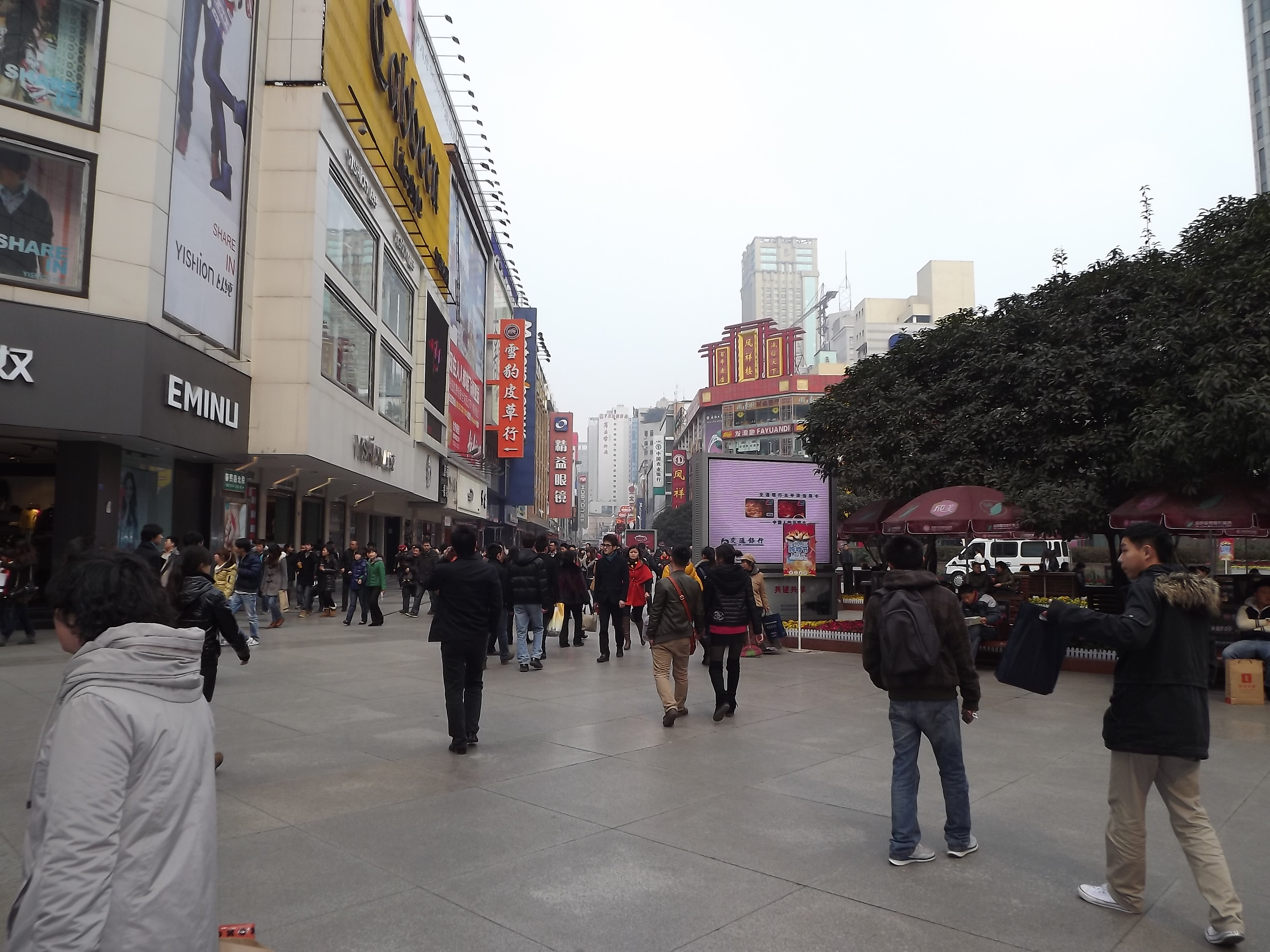 DSCF0707.jpg