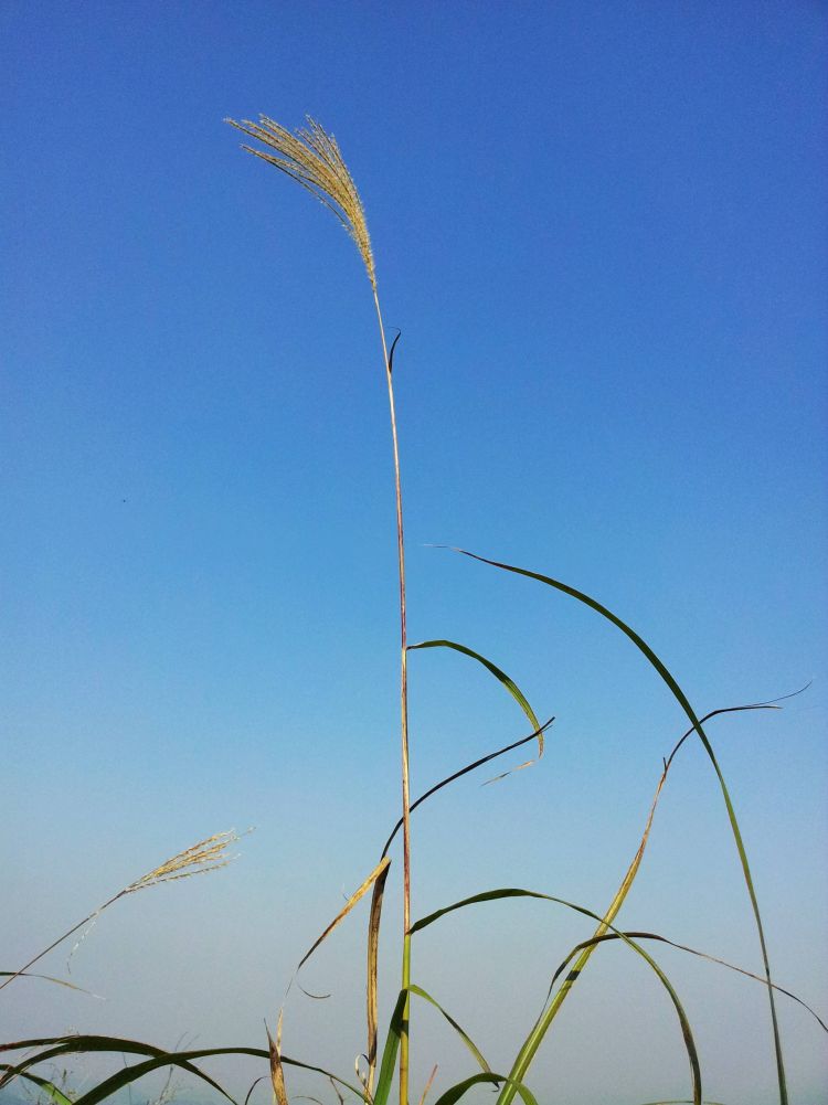 20121114_101449.jpg