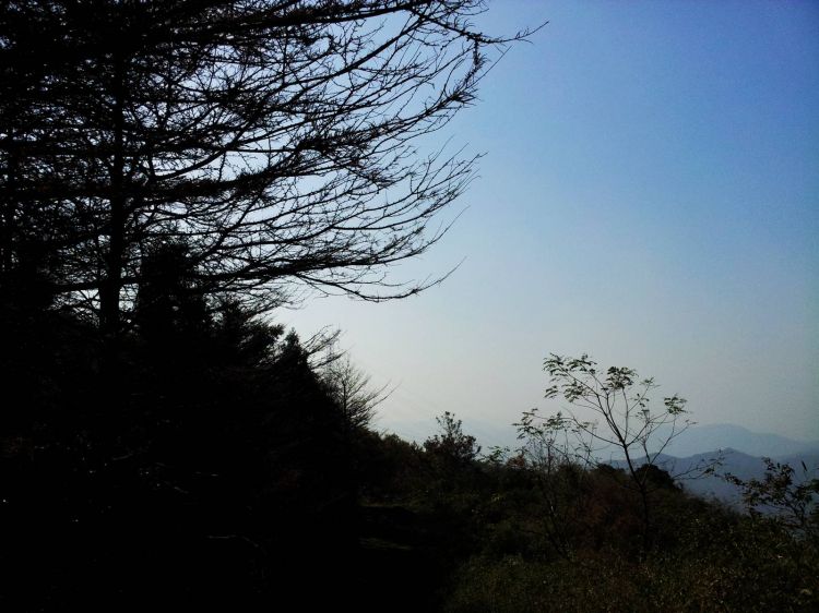 20121114_102024.jpg