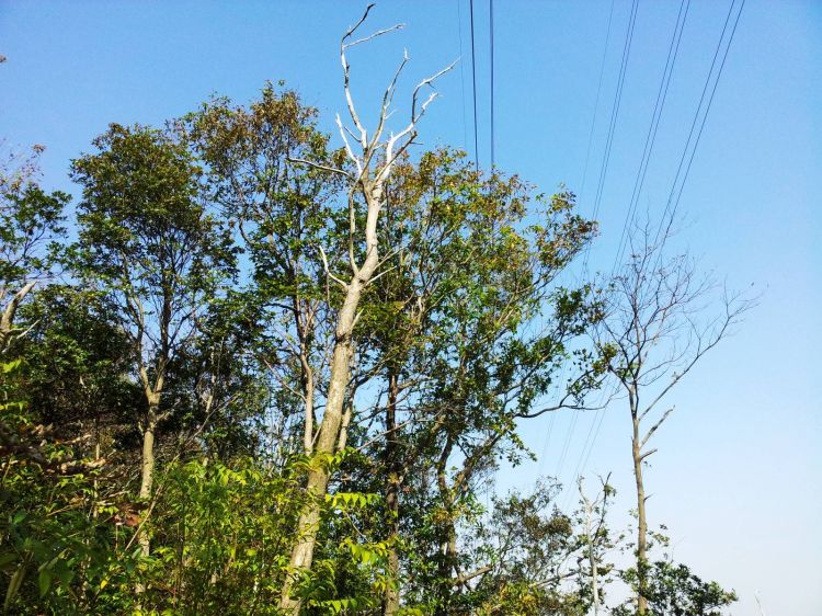 20121114_121344.jpg