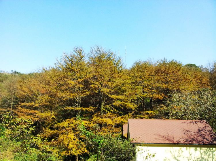 20121114_133201.jpg