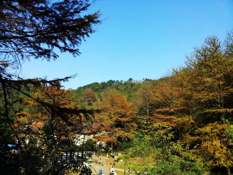 20121114_133213.jpg