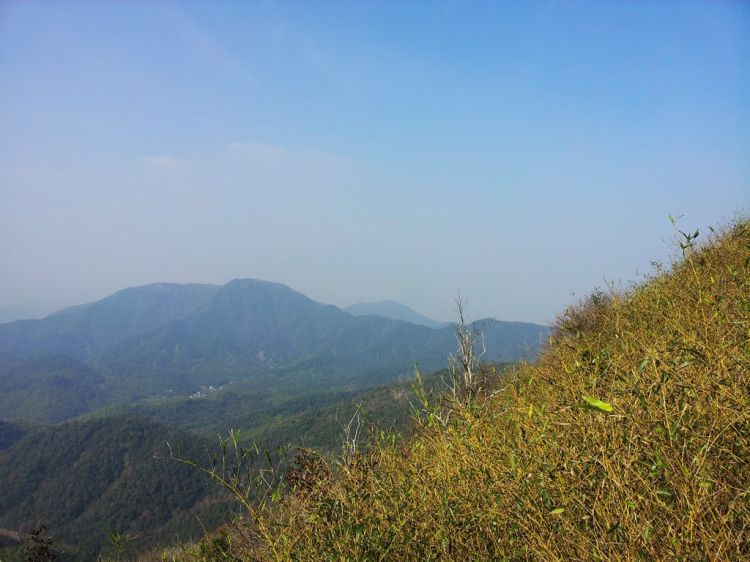 20121127_124214.jpg