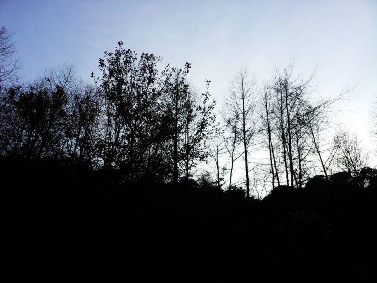 20121127_143207.jpg