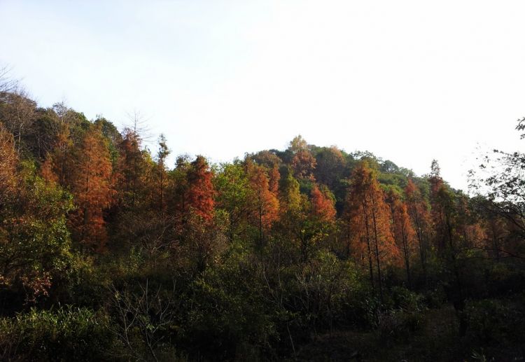20121127_143623.jpg