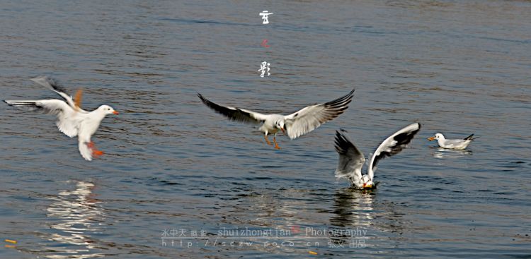 DSC_8738.jpg
