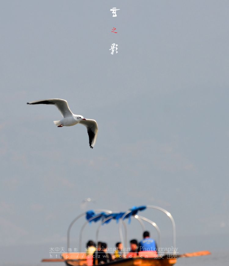 DSC_8866.jpg
