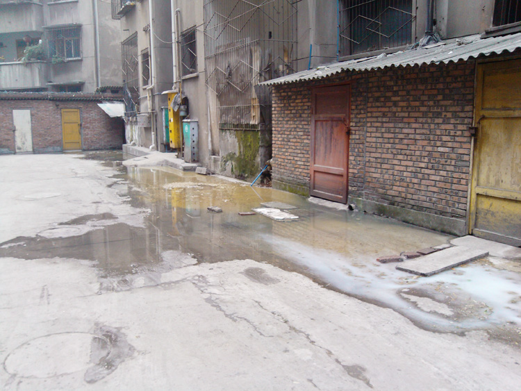 IMG_20130206_111020.jpg