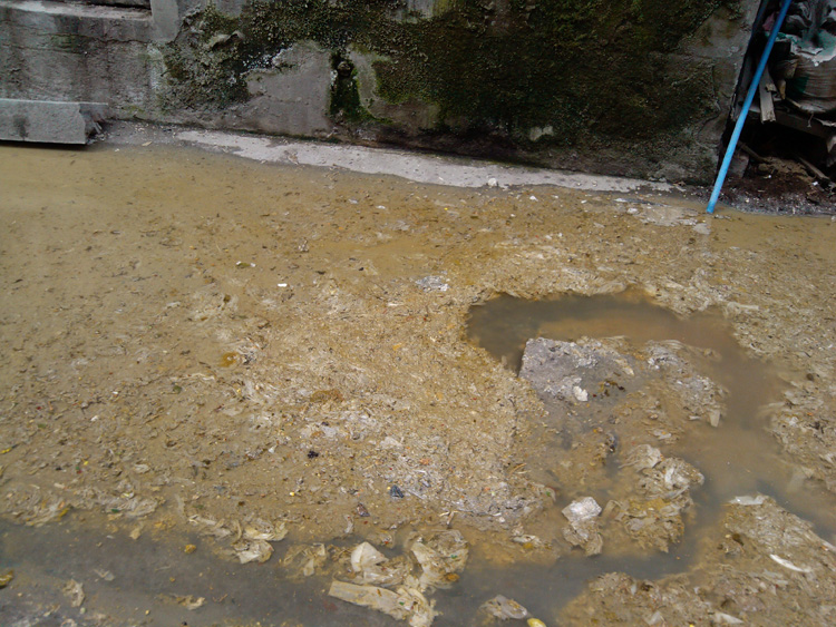 IMG_20130206_111050.jpg
