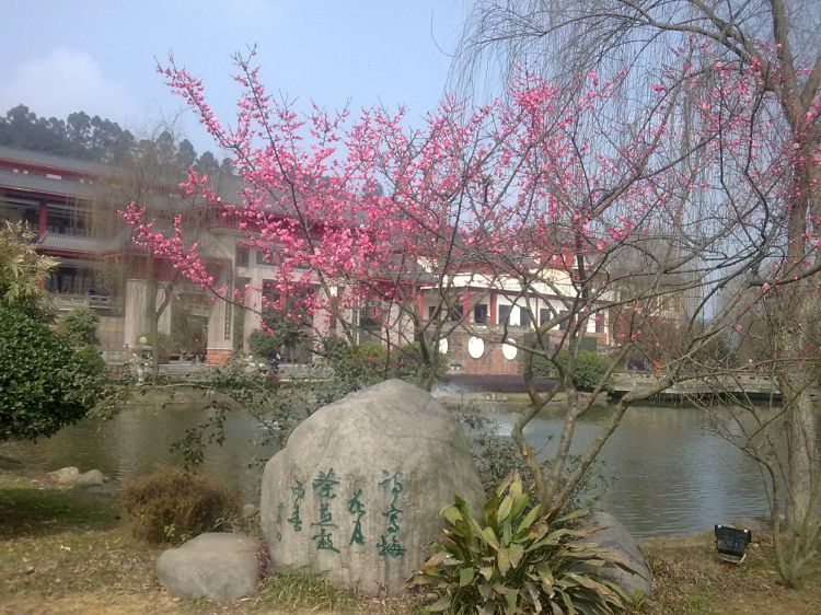 201302102242.jpg