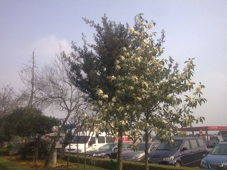 201302102250.jpg