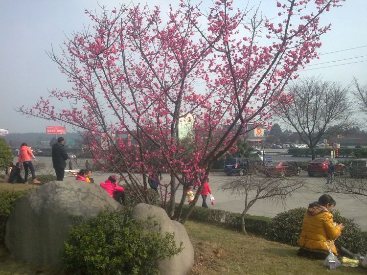 201302102243.jpg