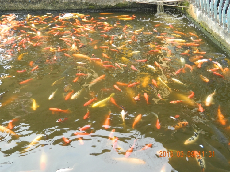 DSCN0422.jpg