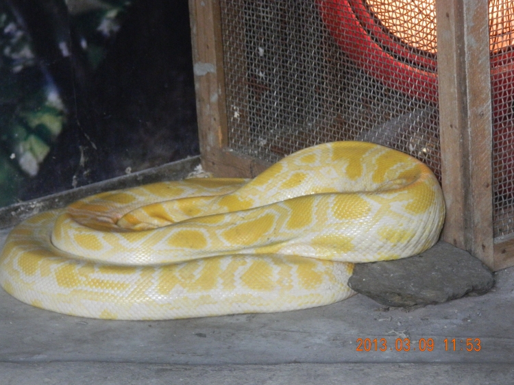 DSCN0441.jpg