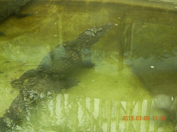 DSCN0448.jpg