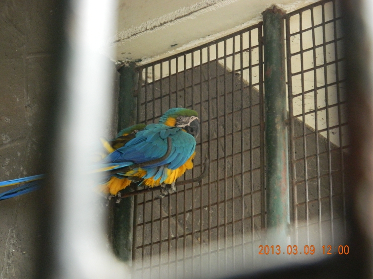DSCN0451.jpg