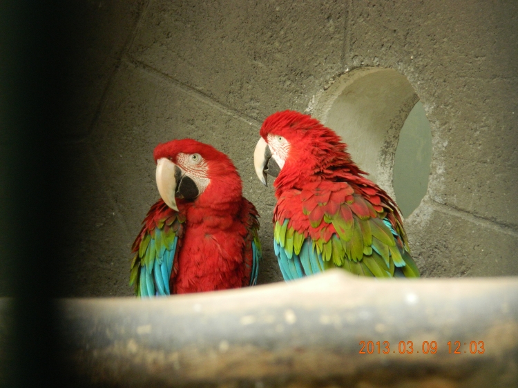 DSCN0456.jpg
