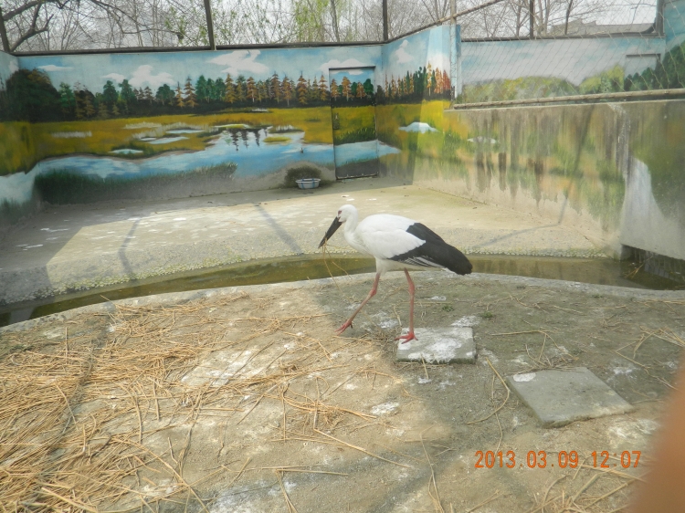 DSCN0459.jpg
