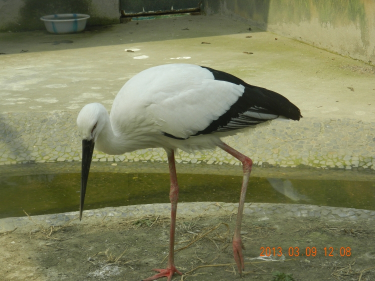 DSCN0461.jpg