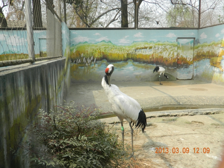 DSCN0464.jpg