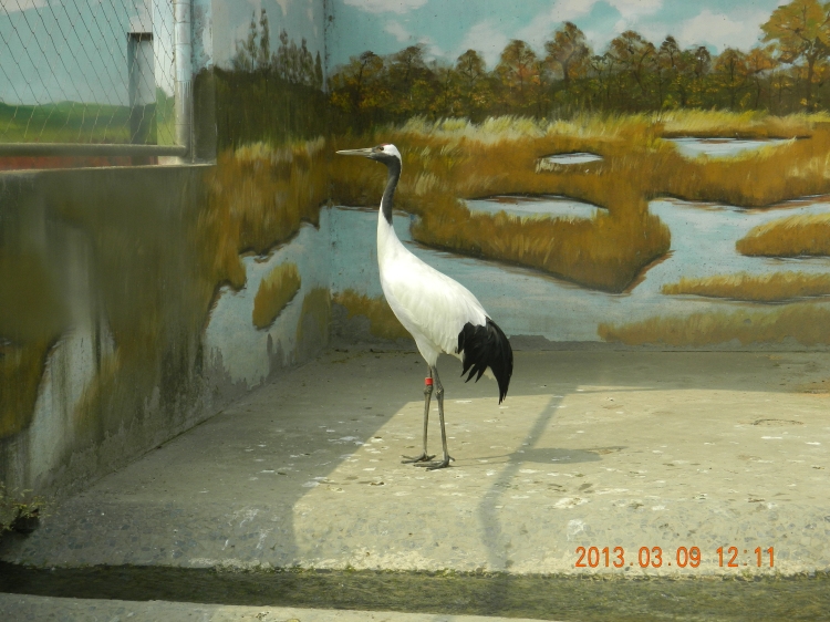 DSCN0468.jpg